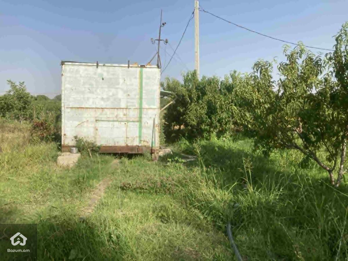 Տնամերձ հեղատարածք - image 1