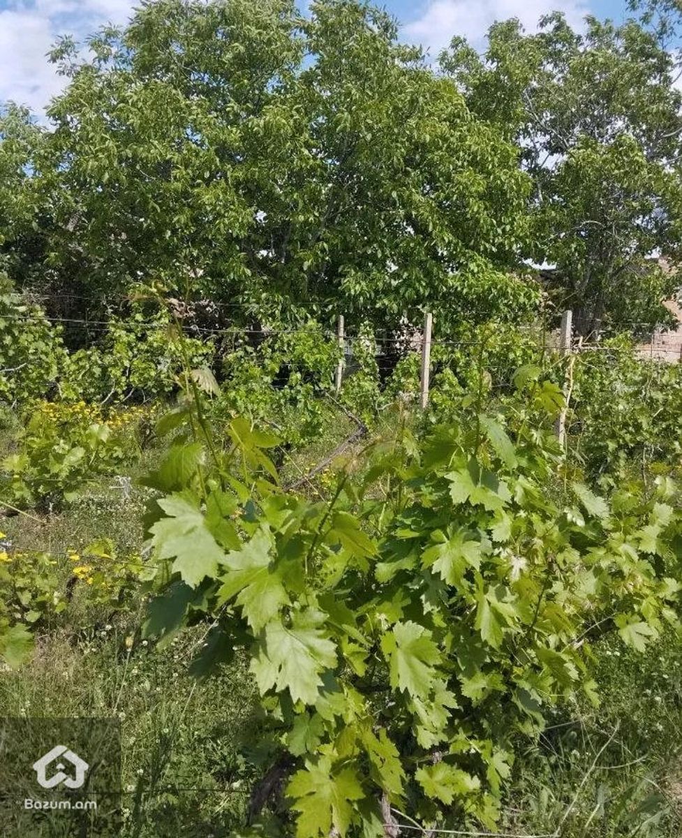 Երկհարկանի տուն Ոսկեվազում  - image 4