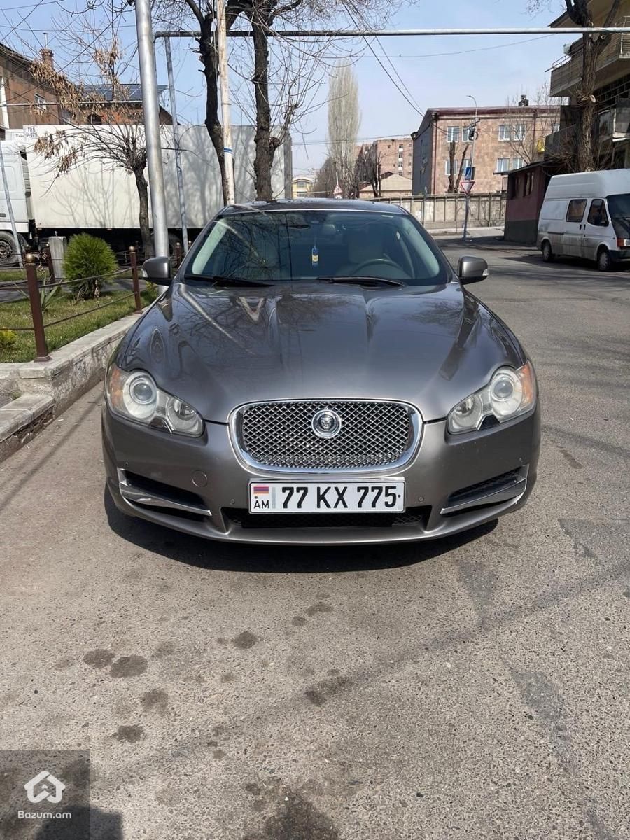 Jaguar - image 1