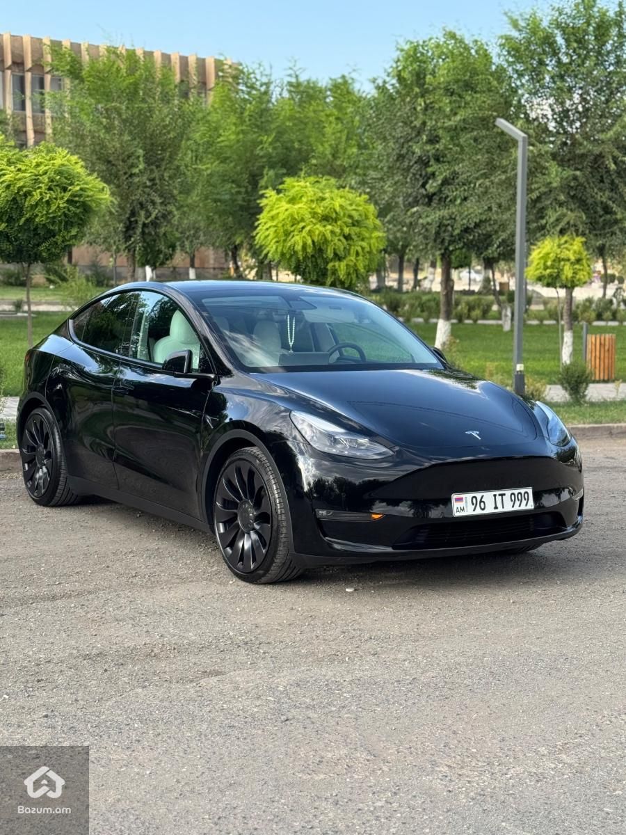 Tesla Model Y Performance - image 2