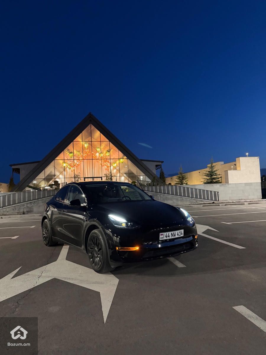 Tesla - image 1