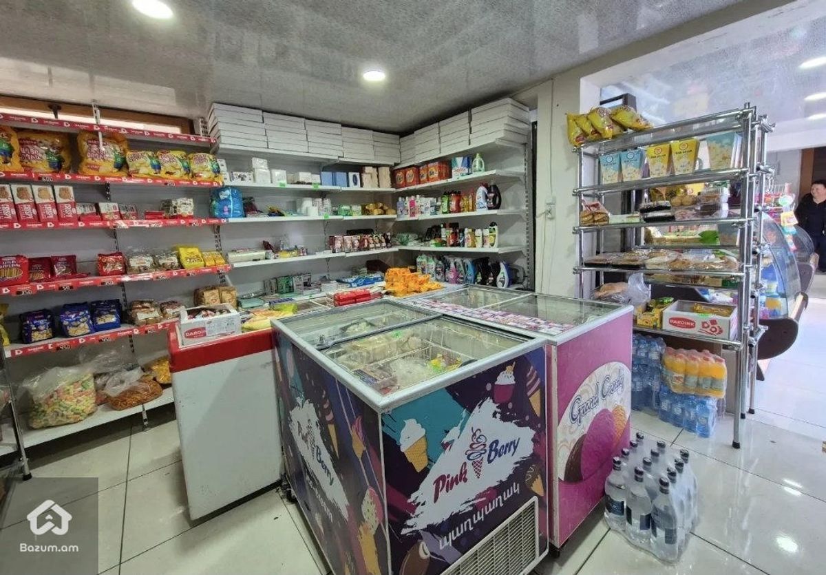 մթերային խամութ և նպագրական խանութ - image 4