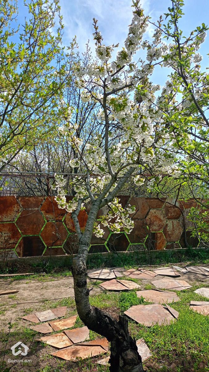 Khachatryan's Guest House - image 29