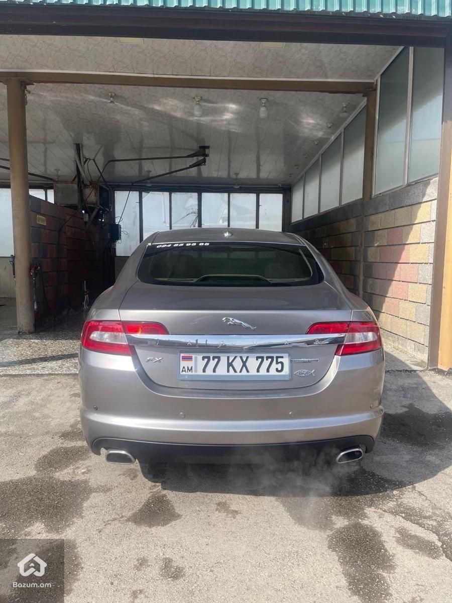 Jaguar - image 4