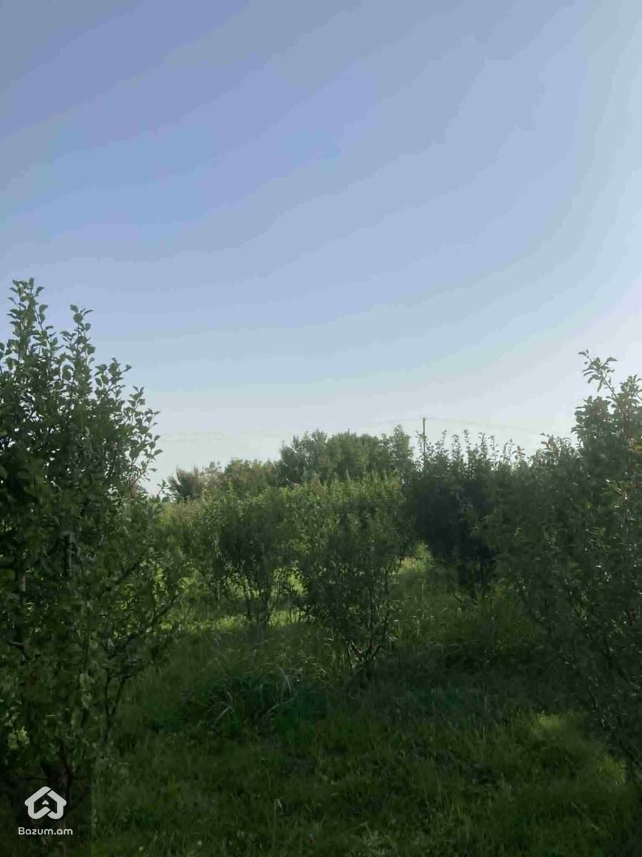 Տնամերձ հեղատարածք - image 2
