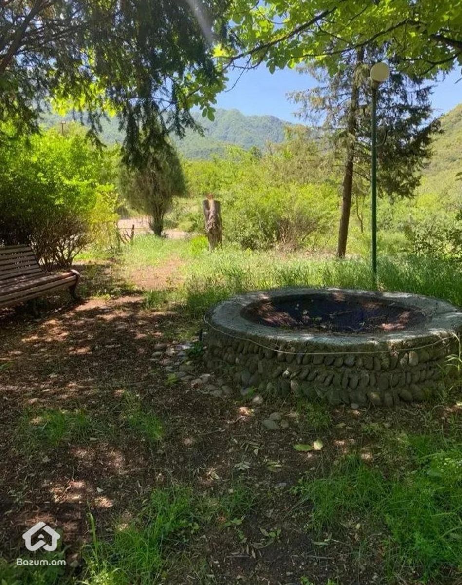 Ռեստորան - image 5