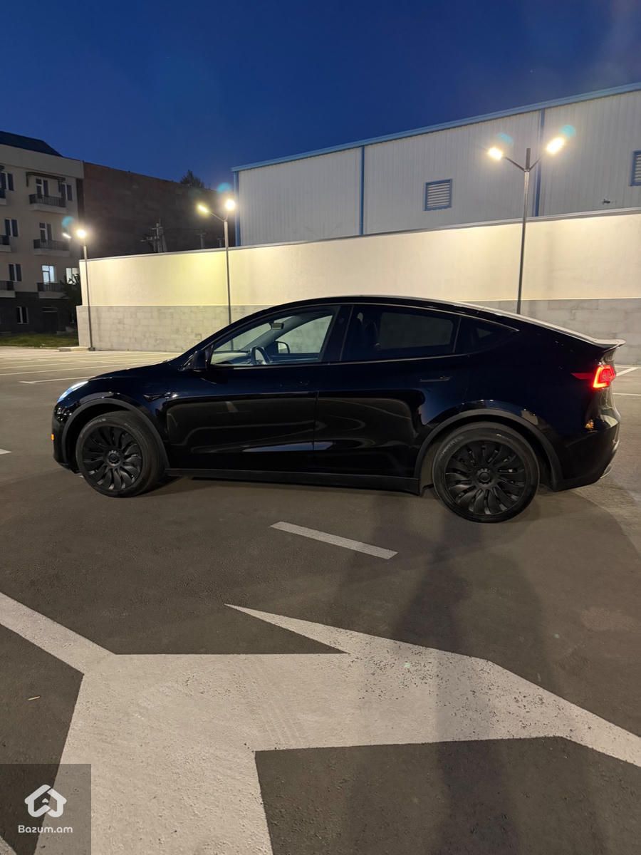 Tesla - image 4