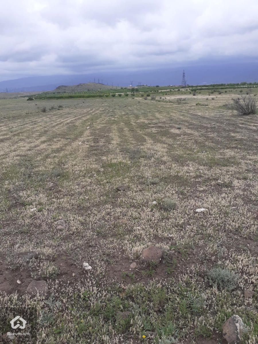 Գյուղնշանակության  - image 5