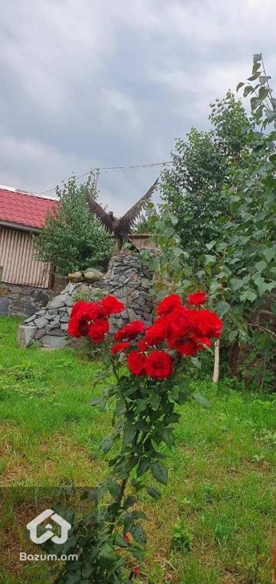 Հյուրանոց/տեստորանային համալիր - image 12