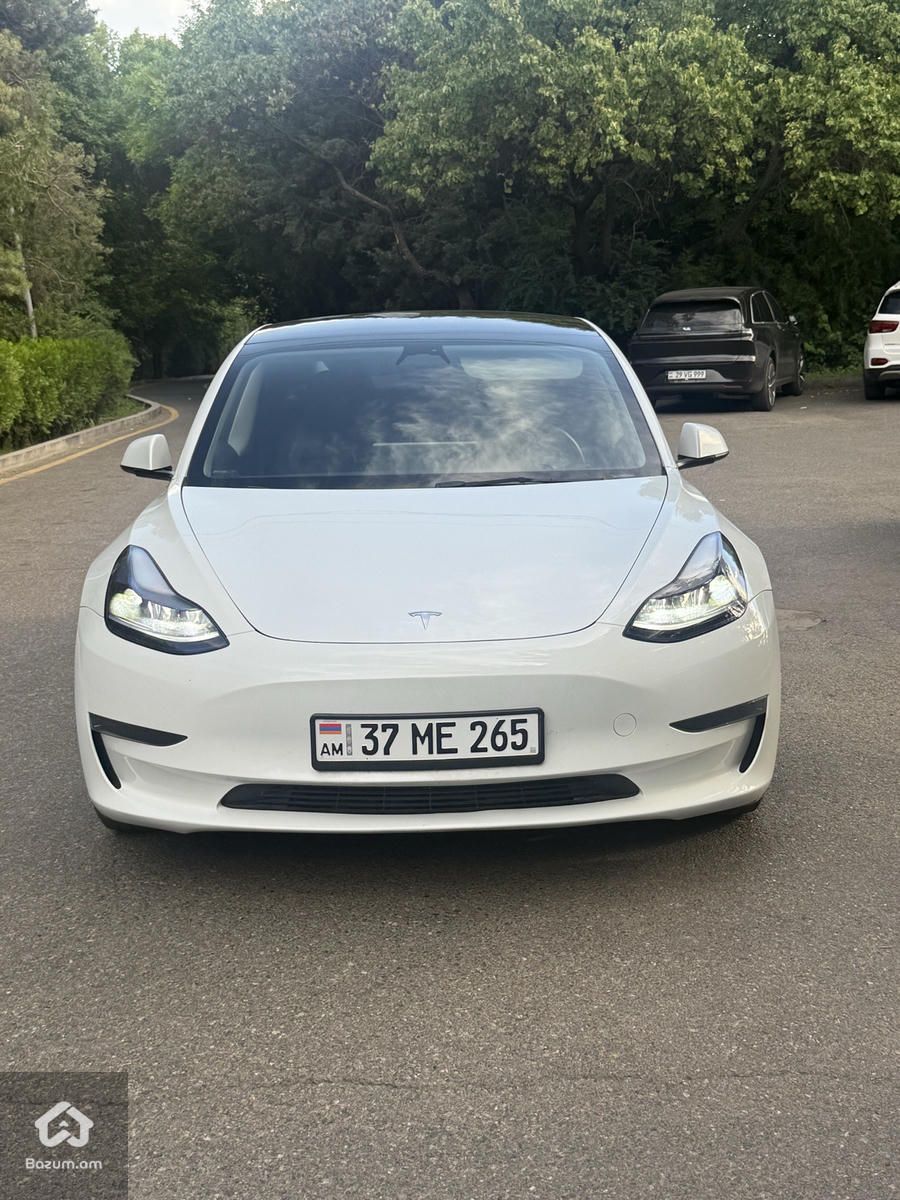 Tesla - image 1