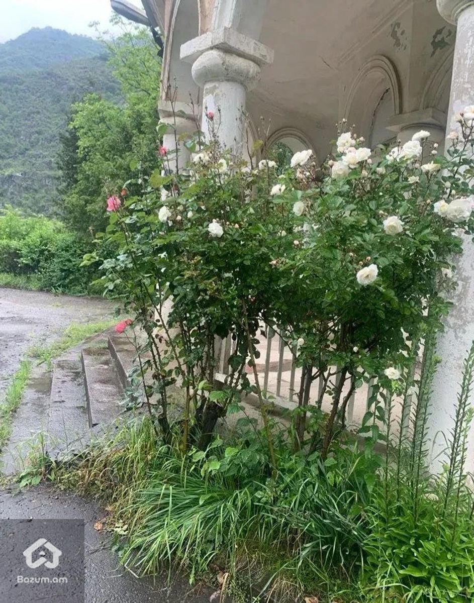 Ռեստորան - image 23