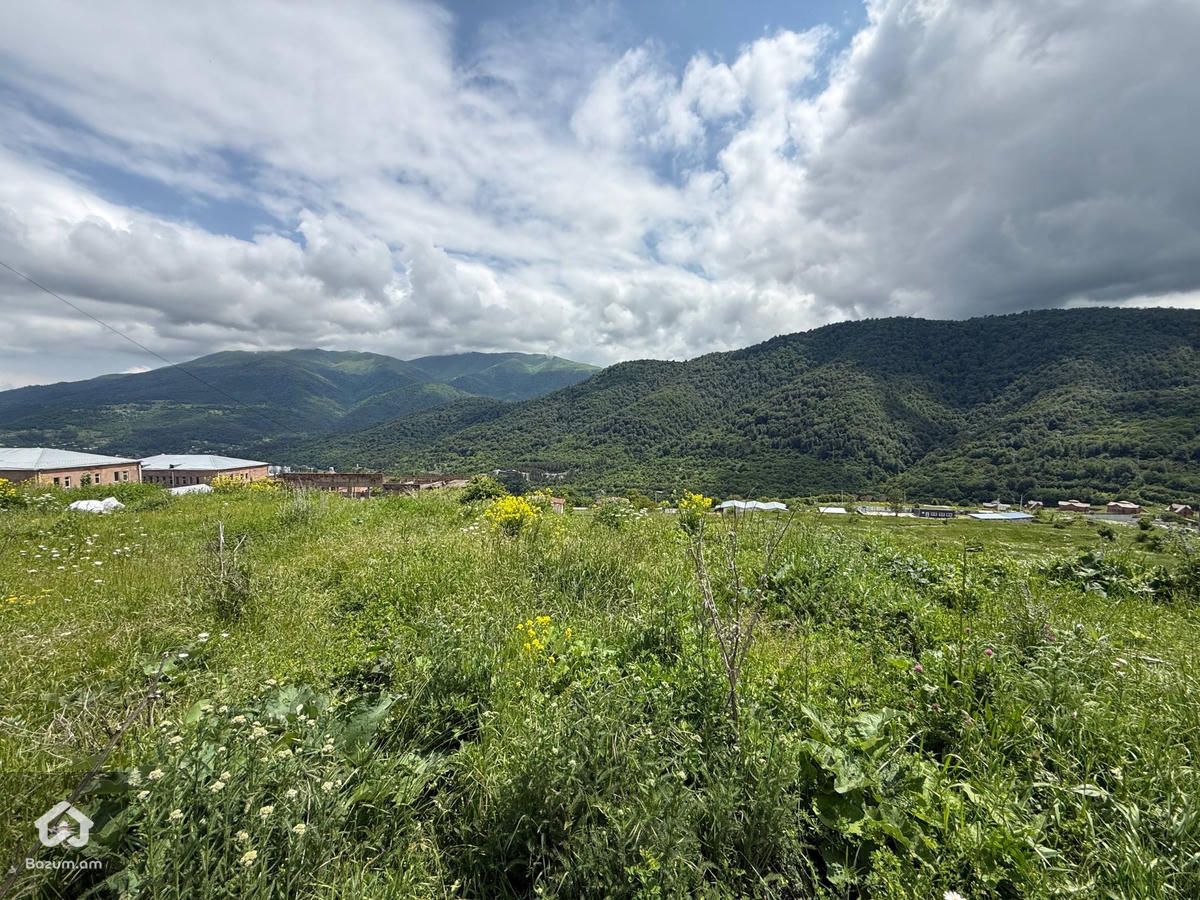Հասարակական Հողատարածք - image 10