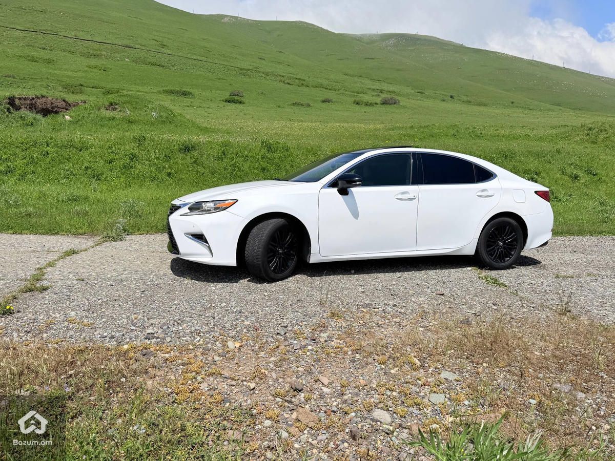 Lexus - image 16
