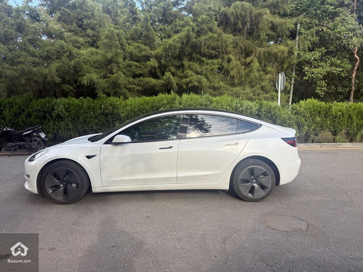 Tesla - image 4