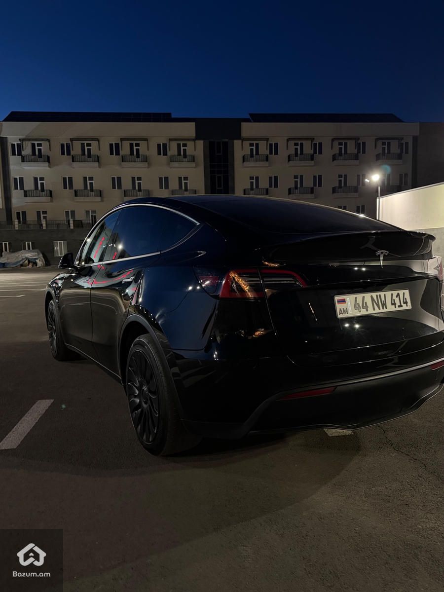 Tesla - image 7