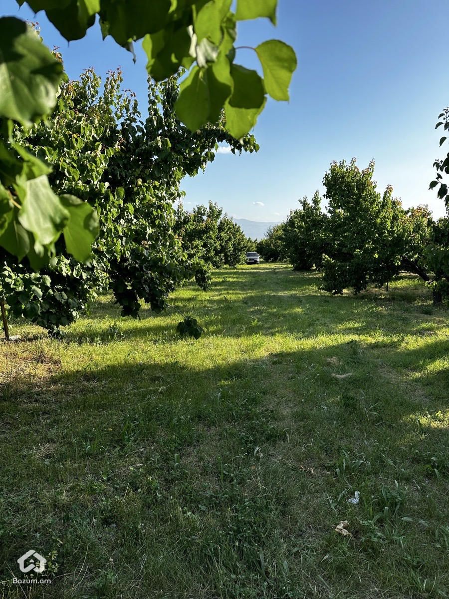 Վաճառվում է Ծիրանի Այգի - image 8