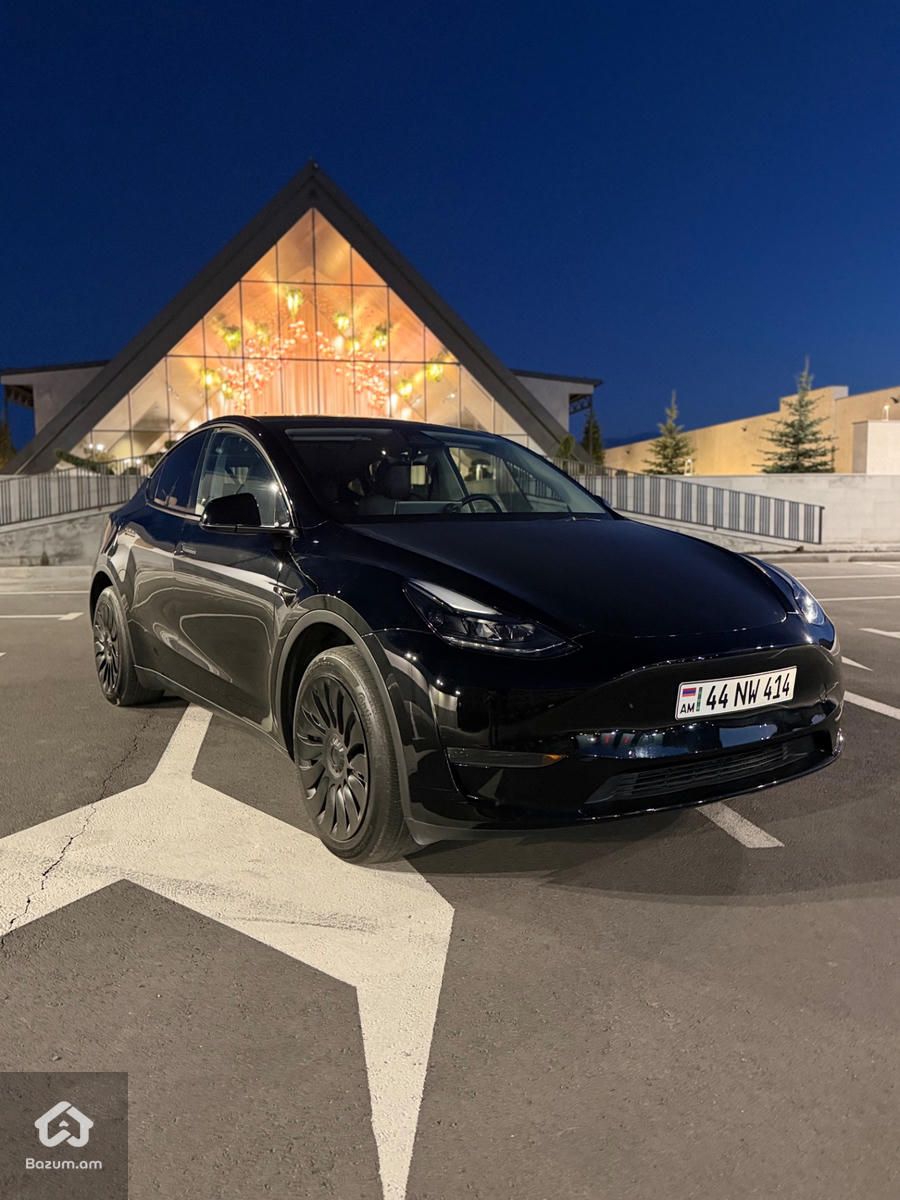 Tesla - image 2