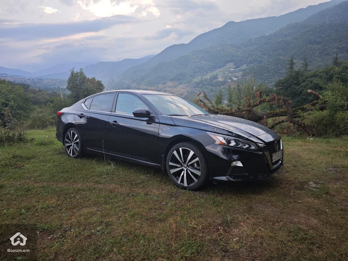 Altima - image 1