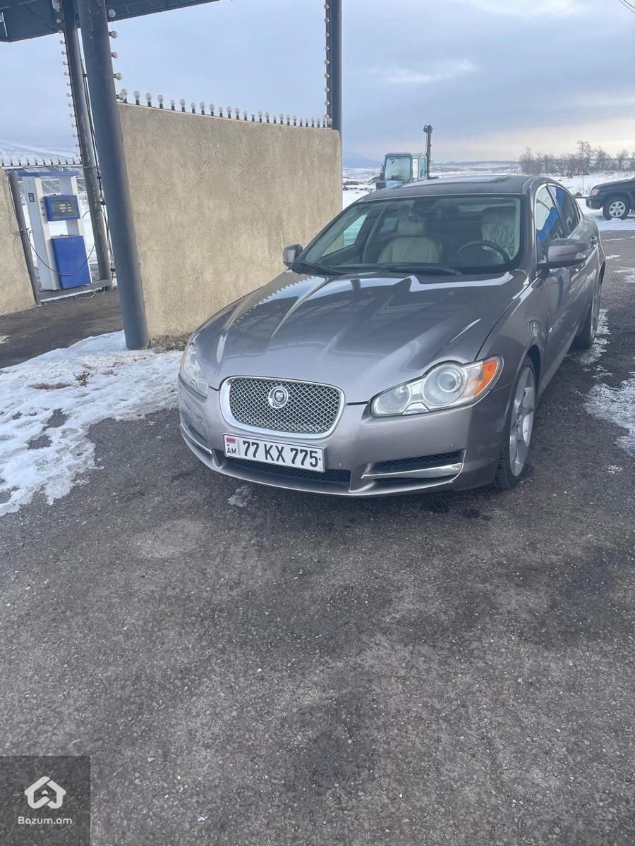 Jaguar - image 10