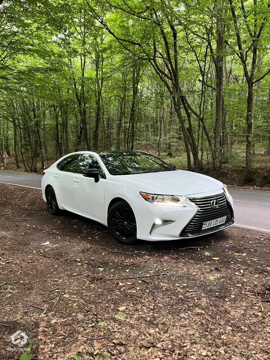 Lexus - image 11