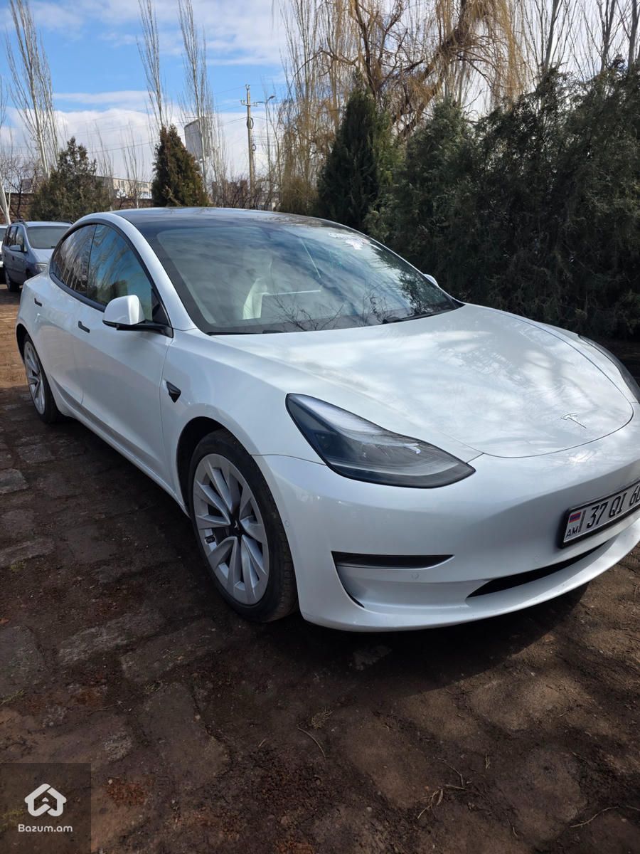 Tesla - image 2