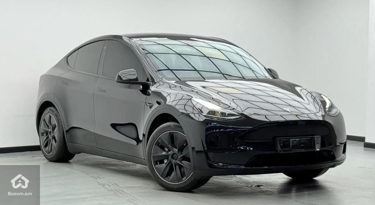 Tesla - image 1