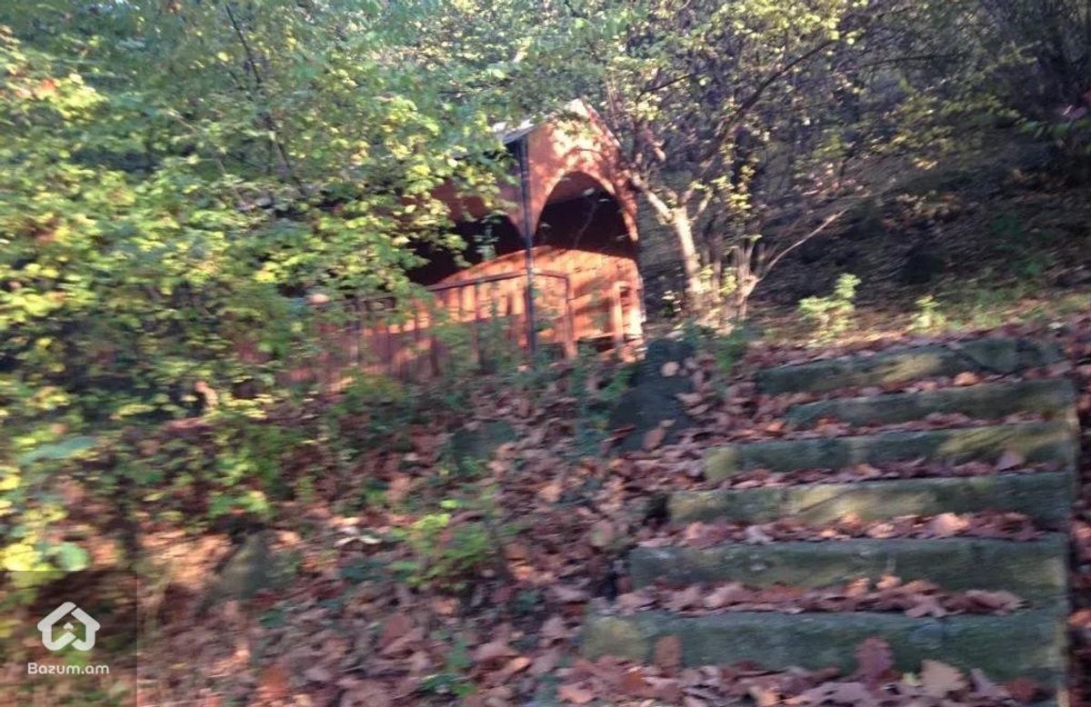 Ռեստորան - image 12
