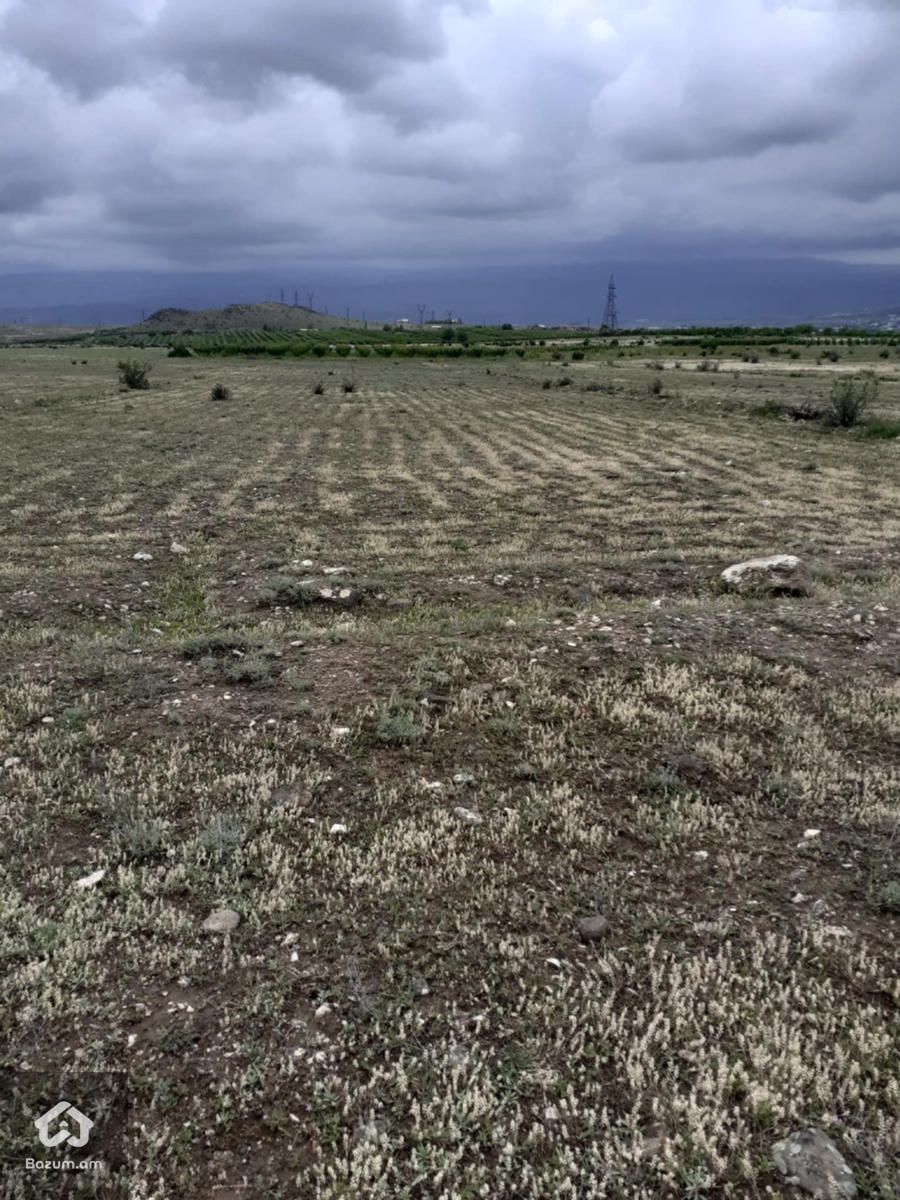 Գյուղնշանակության  - image 1