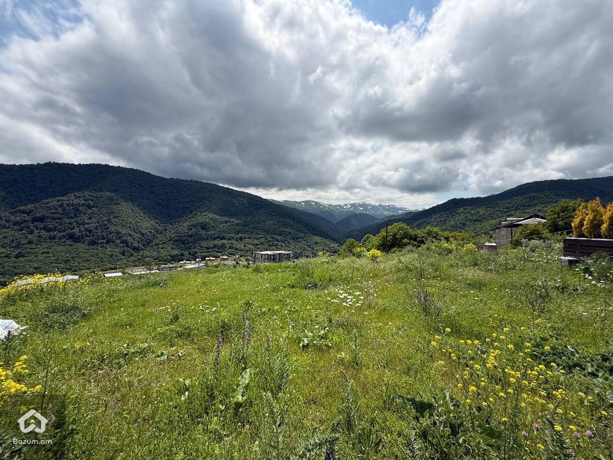 Հասարակական Հողատարածք - image 5
