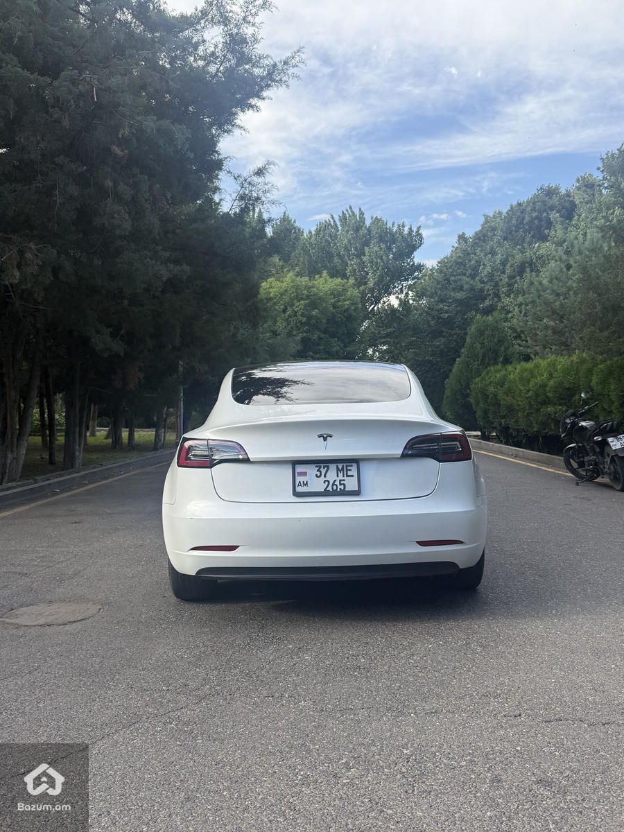 Tesla - image 2