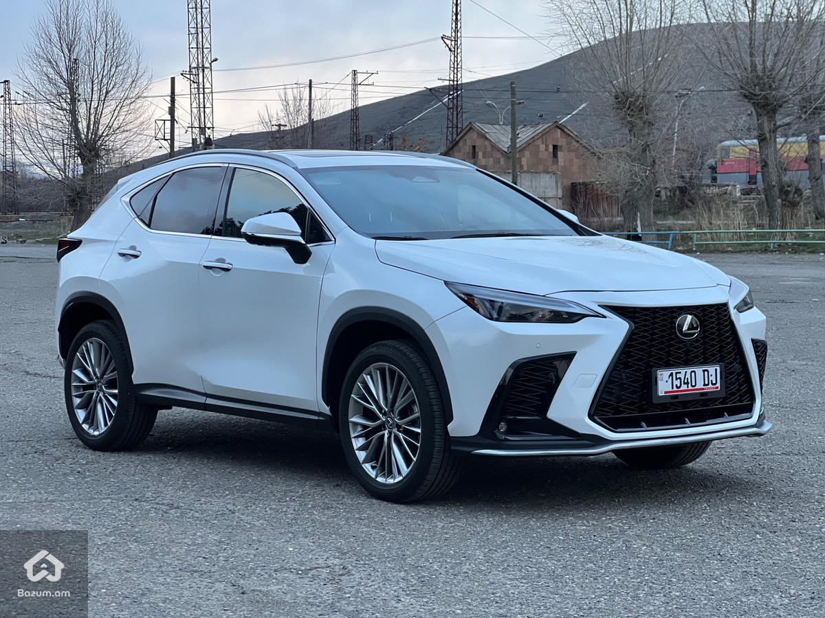 Lexus NX350 Luxury - image 5