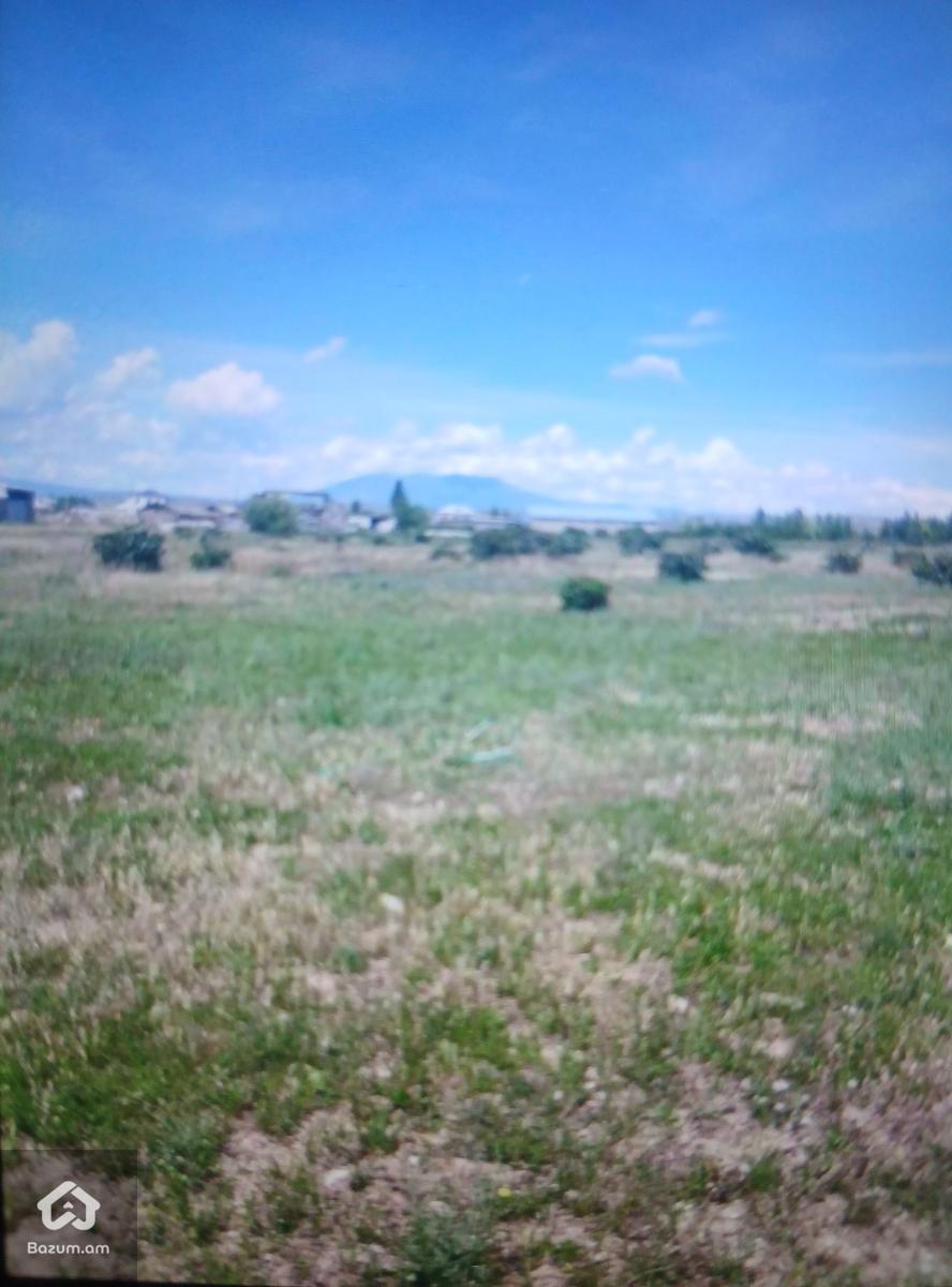 Գյուղատնտեսական հողատարածք 