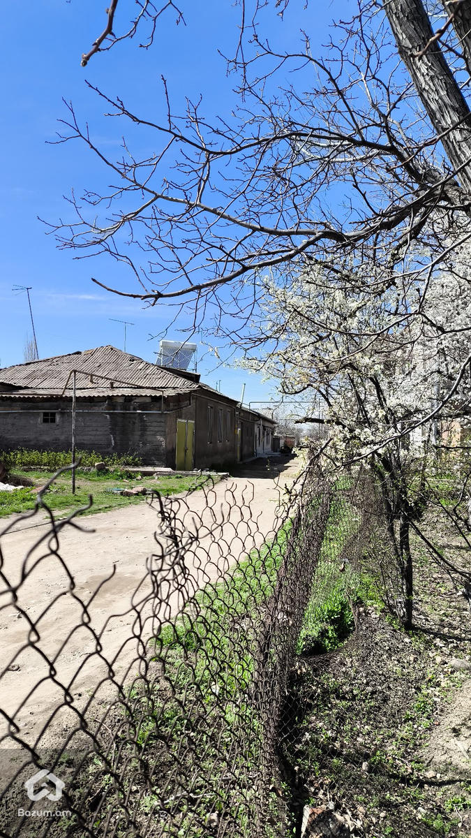 տնամերձ հողատարածք  - image 2