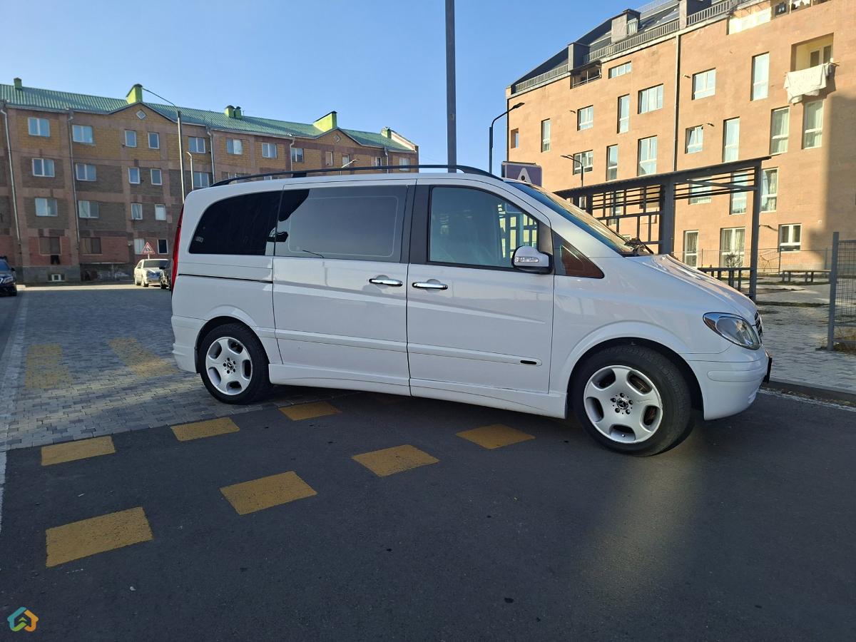 Viano Wald - image 3