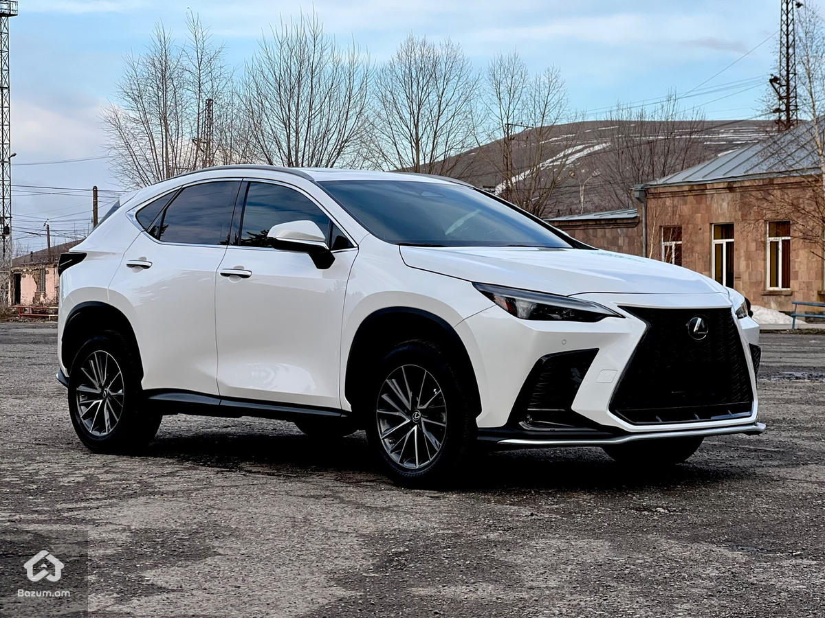 LEXUS NX - image 3