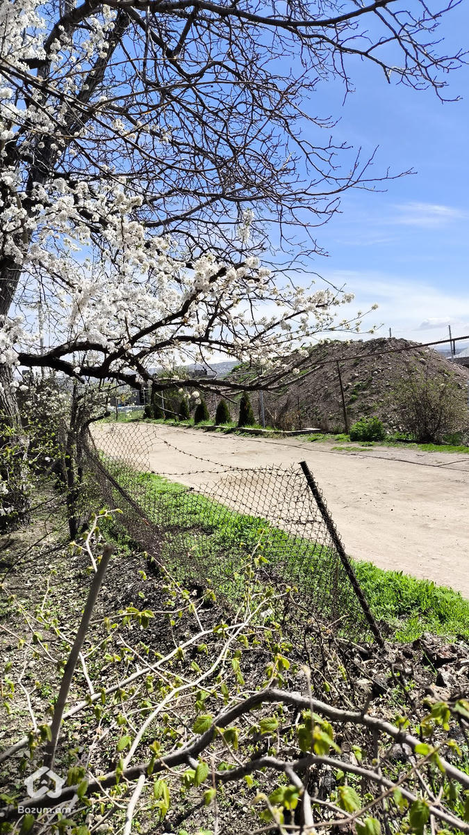 տնամերձ հողատարածք  - image 7