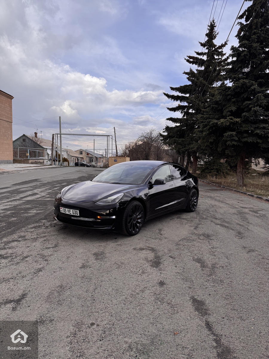 PERFORMANCE  - image 28