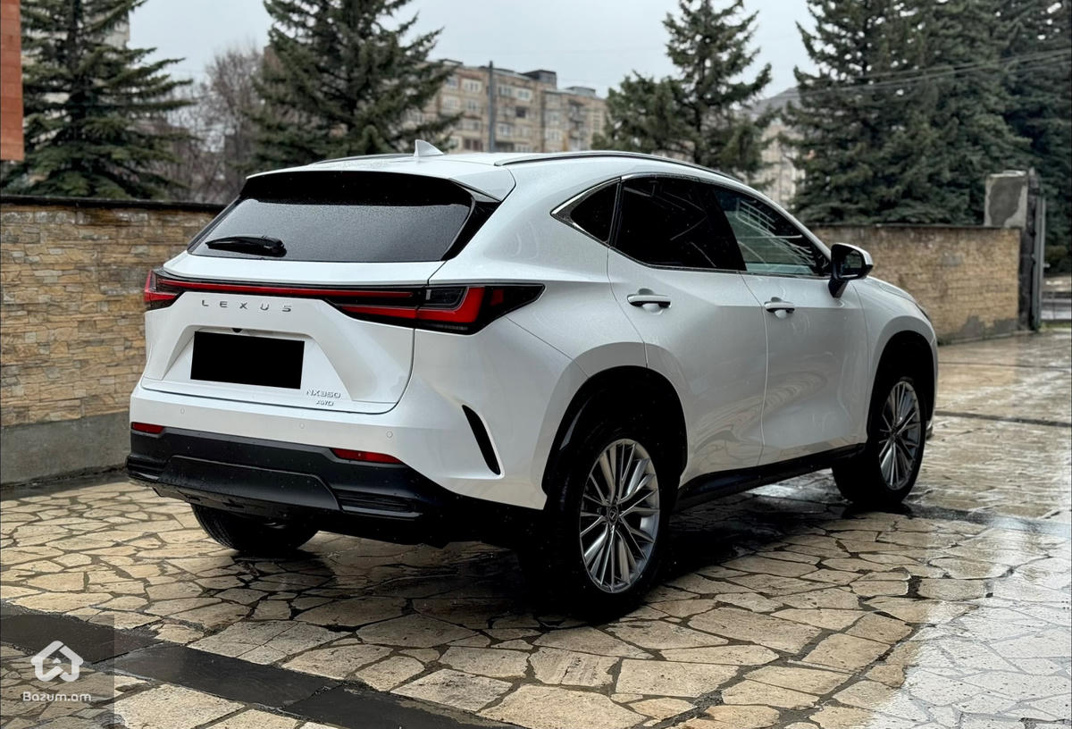 Lexus NX350 Luxury  - image 7