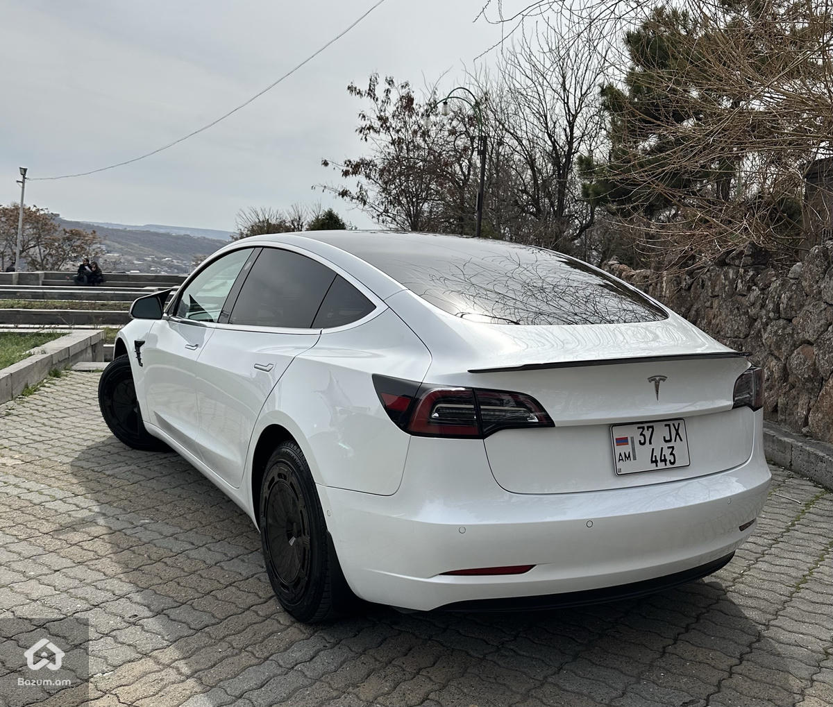 Tesla - image 2