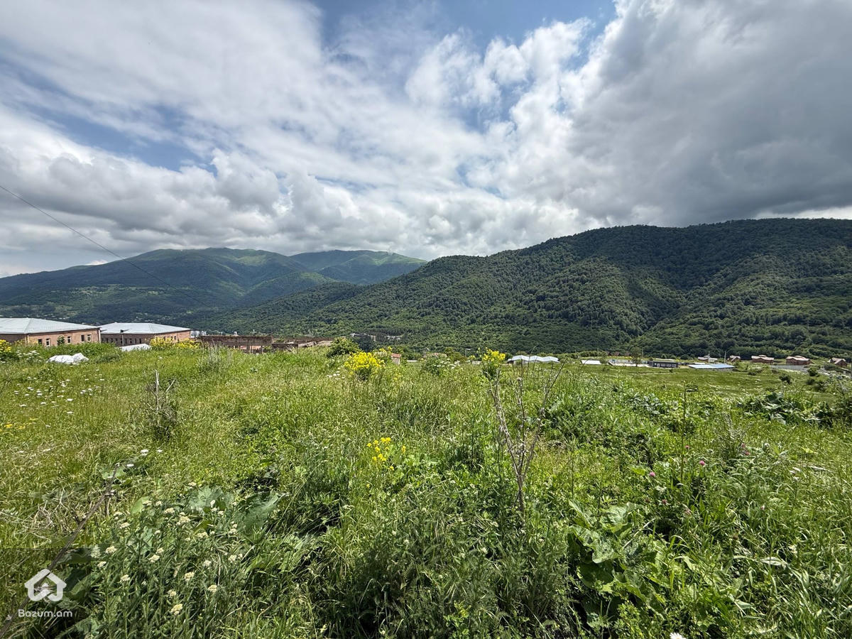 Հասարակական Հողատարածք - image 10