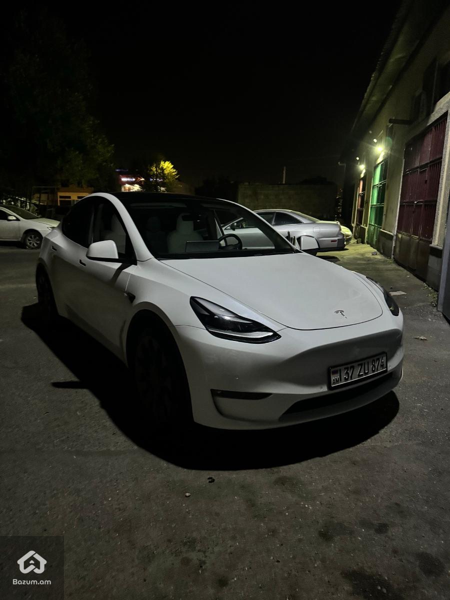 TESLA Y PERFORMANCE - image 1