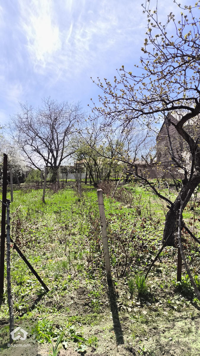 տնամերձ հողատարածք  - image 5