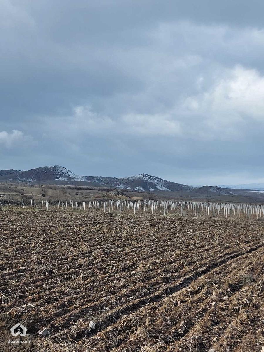 Գյուղնշանակության - image 6