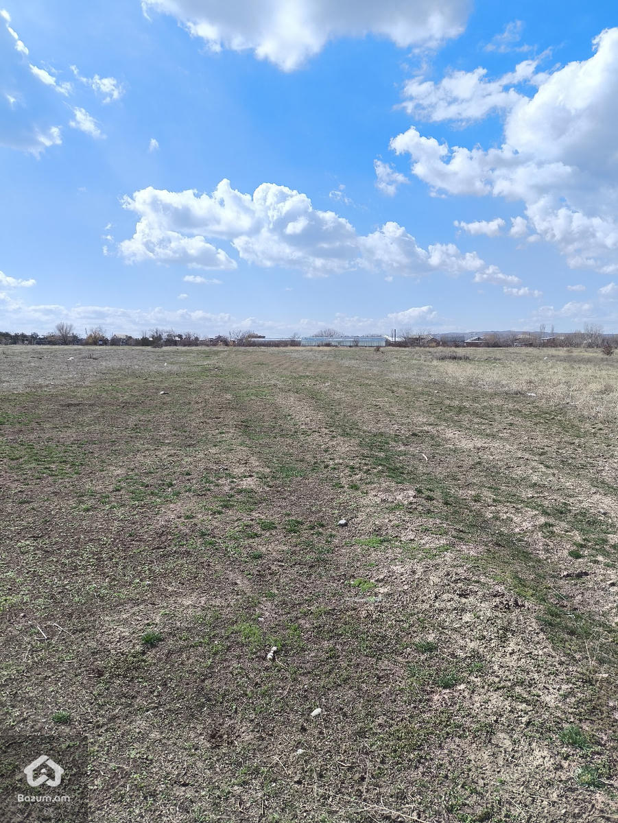 Գյուղատնտեսական հողատարածք  - image 3