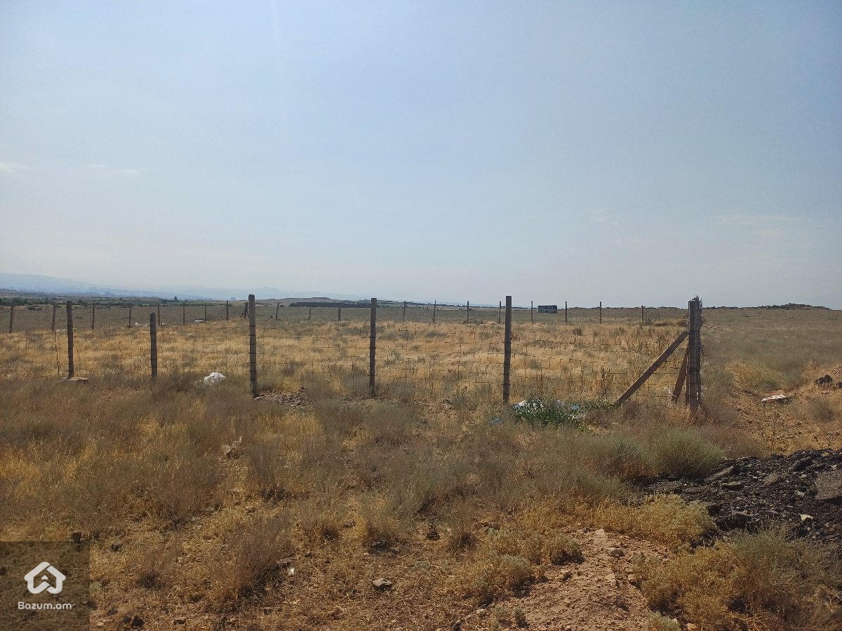 Տնամերձ հող - image 4