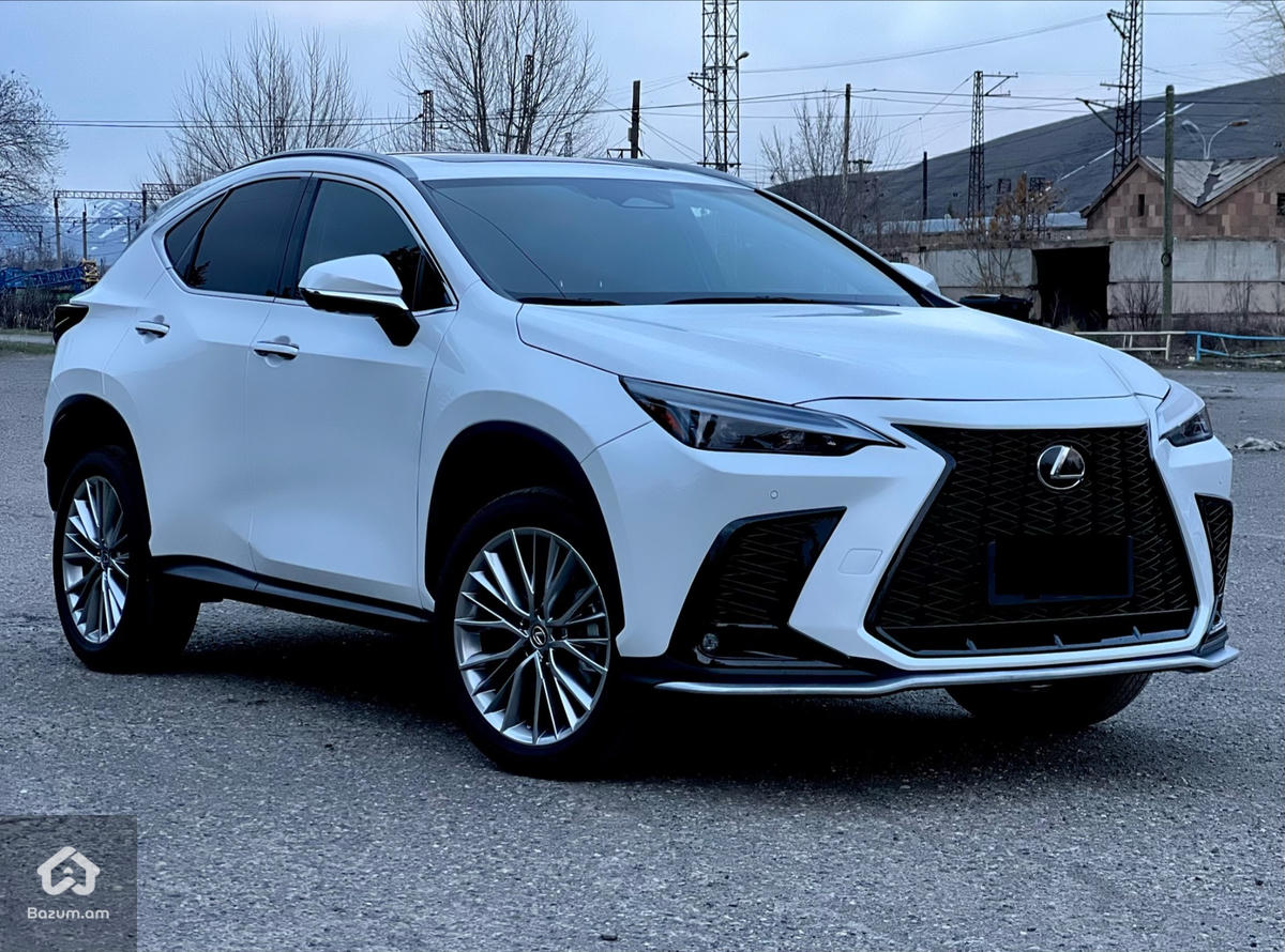 Lexus NX350 Luxury - image 3