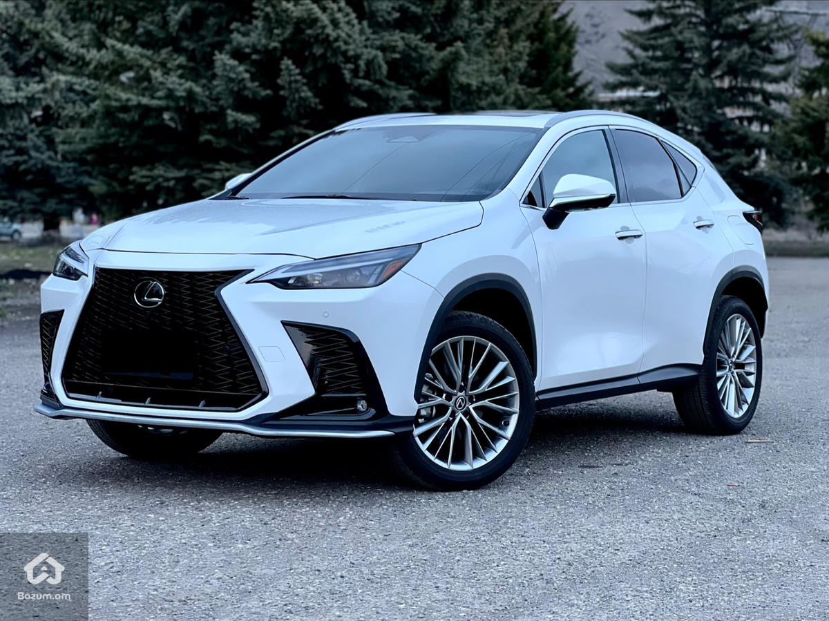 Lexus NX350 Luxury - image 1