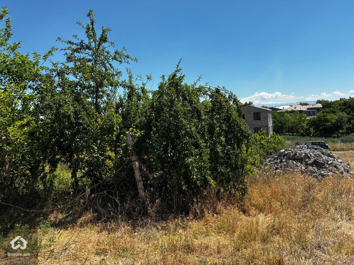 Տնամերձ Հողատարածք - image 3