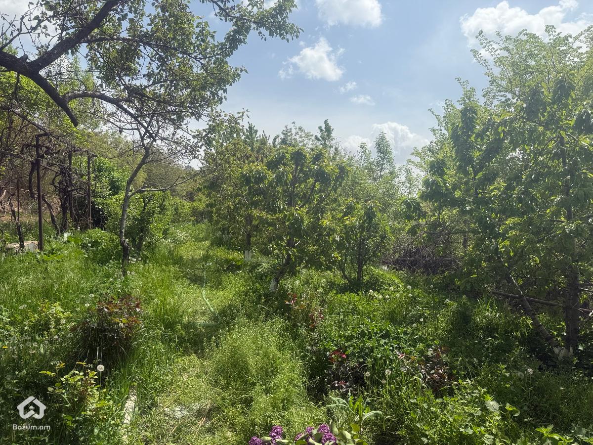 Առանձնատուն - image 12