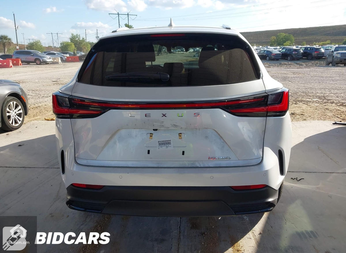 LEXUS NX 250 - image 9